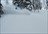Stellar Heli Skiing Day Packages