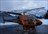 Stellar Heli Skiing Day Packages