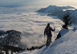 Project X Cat Skiing Adventure