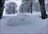 Project X Cat Skiing Adventure