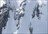 Project X Cat Skiing Adventure