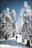 Project X Cat Skiing Adventure