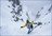 Sea to Summit Ski Touring Westfjords