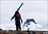 Sea to Summit Ski Touring Westfjords
