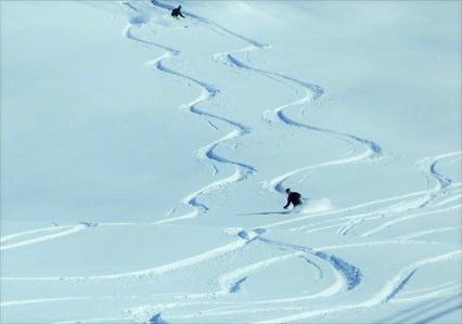 Tarentaise Powder & Reblochon Freeride Ski Tour