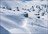 Cat Ski Georgia - Goderdzi