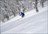 Cat Ski Georgia - Goderdzi