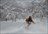 Chisenupuri Cat Skiing