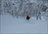 Chisenupuri Cat Skiing