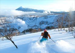 Hachimantai Cat Ski Trips