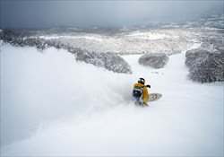 Iwanai Cat Skiing Day Package