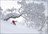 Iwanai Cat Skiing Day Package