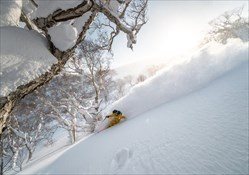 Iwanai Cat Skiing Day Package
