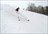 Iwanai Cat Skiing Day Package