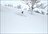 Iwanai Cat Skiing Day Package