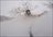 Iwanai Cat Skiing Day Package