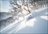 Iwanai Cat Skiing Day Package