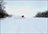 Iwanai Cat Skiing Day Package
