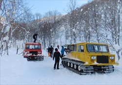 Niseko Cat Skiing Day Tours