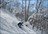 Niseko Cat Skiing Day Tours