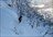 Niseko Cat Skiing Day Tours