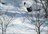 Niseko Cat Skiing Day Tours