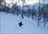 Niseko Cat Skiing Day Tours