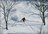 Niseko Cat Skiing Day Tours