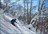 Niseko Cat Skiing Day Tours