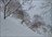 Shimamaki Snowcat Packages