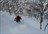 Shimamaki Snowcat Packages