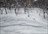 Shimamaki Snowcat Packages