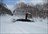 Shimamaki Snowcat Packages