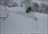 Weiss Day Cat Skiing