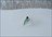 Weiss Day Cat Skiing