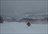 Weiss Day Cat Skiing