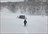 Weiss Day Cat Skiing