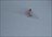 Weiss Day Cat Skiing