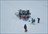 Weiss Day Cat Skiing