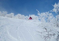 Hakuba Steeps