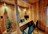 Kaido Hostel