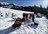 Karkara Cat Skiing