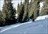Karkara Cat Skiing Week