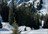 Karkara Cat Skiing Week