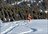Karkara Cat Skiing Week