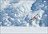 Ski The Tasman - Classic 2 Run Day