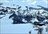Combo Cat & Sled Skiing
