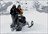 Combo Cat & Sled Skiing