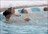 Gran Hotel Termas de Chillan Packages