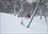 Patagonia Slackcountry